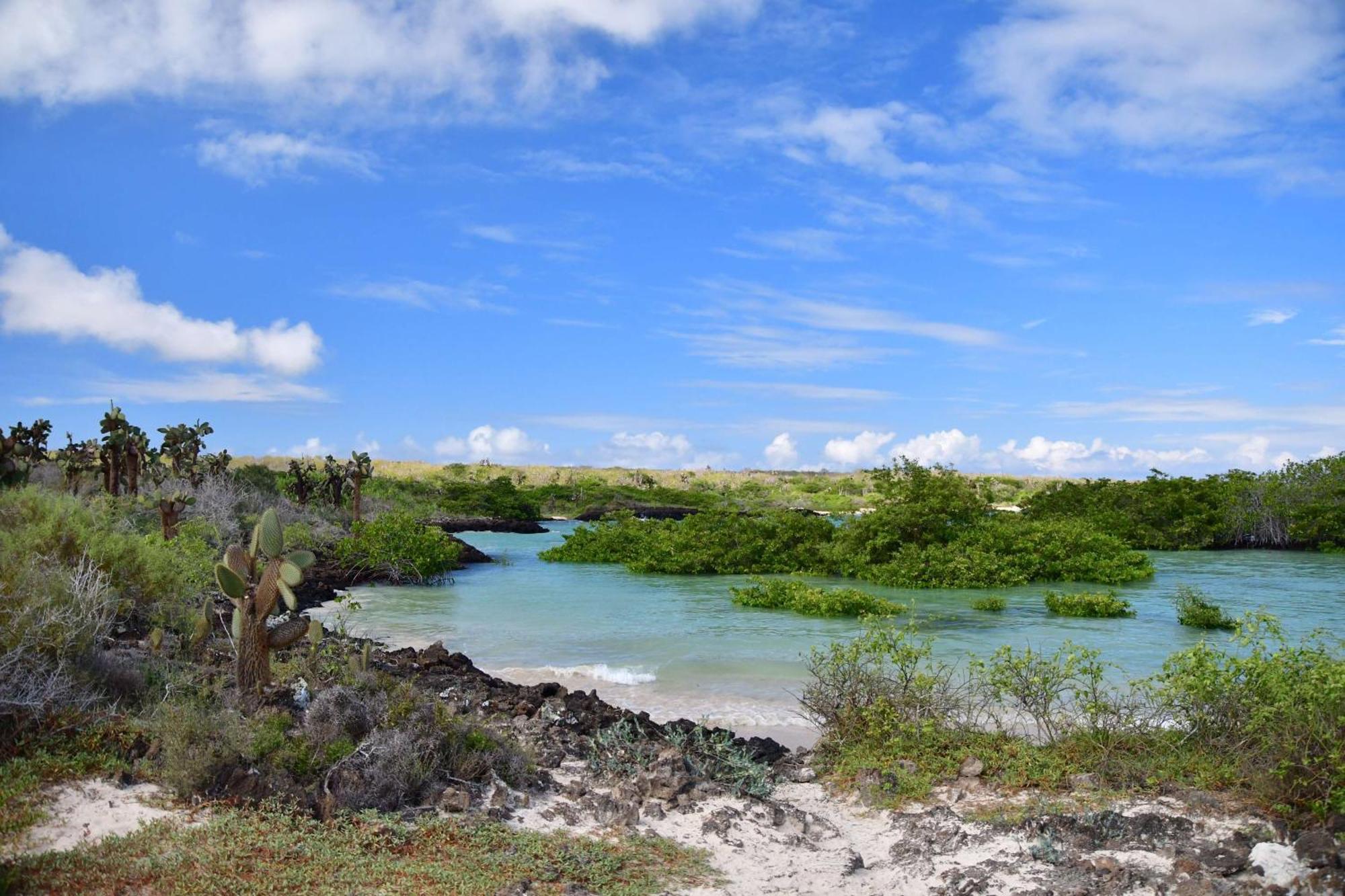 Royal Palm Galapagos, Curio Collection Hotel By Hilton Bellavista  المظهر الخارجي الصورة