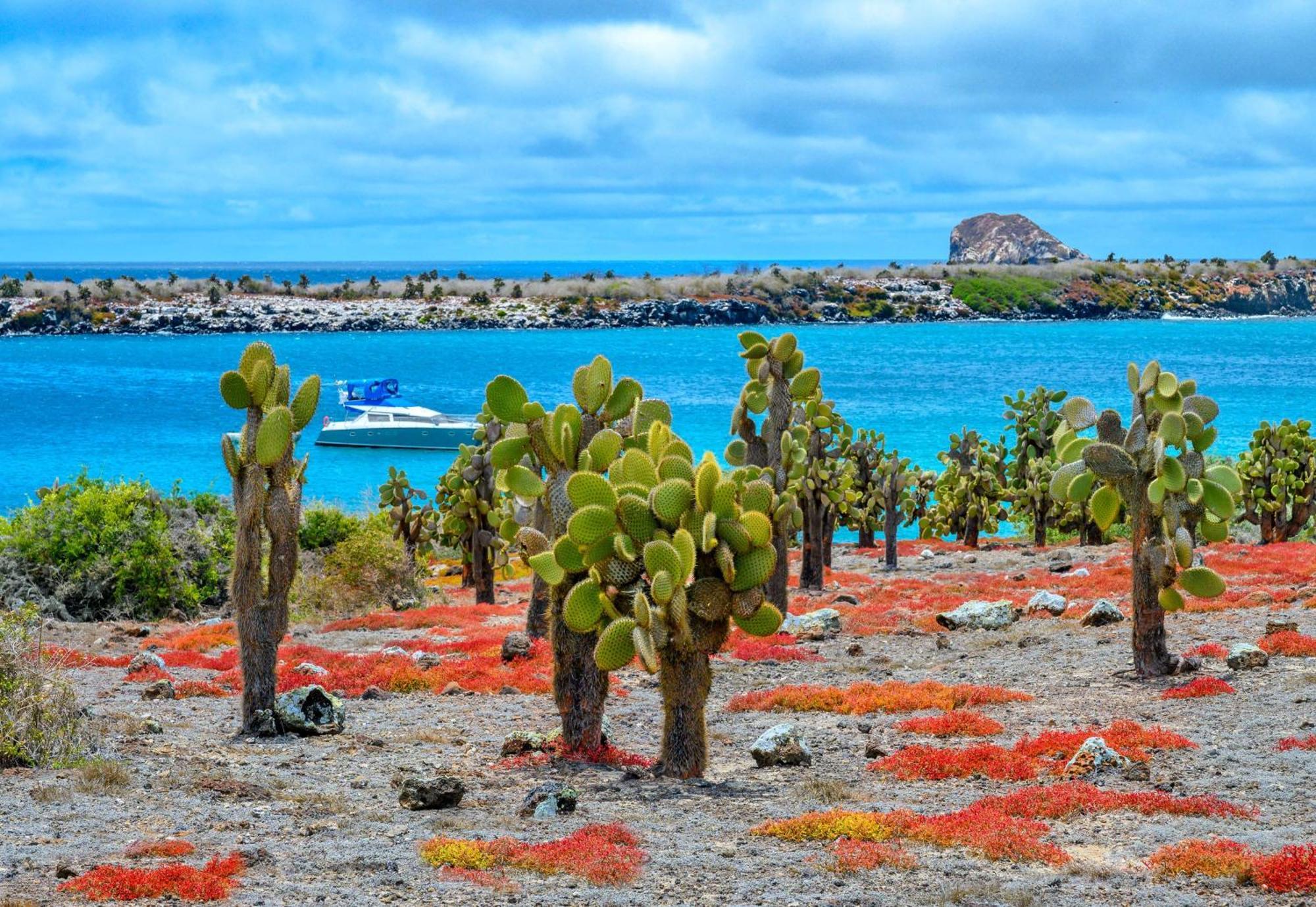 Royal Palm Galapagos, Curio Collection Hotel By Hilton Bellavista  المظهر الخارجي الصورة